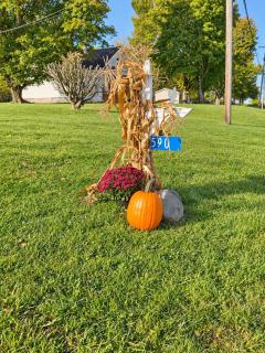 Countryside Cottage - 6