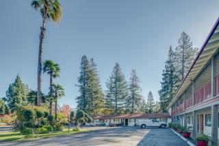 The Palo Alto Inn - Palo Alto - 7