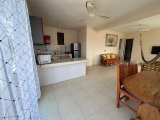 Amiris Suite - 5