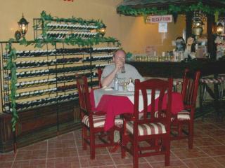 Swiss Chalet - 5