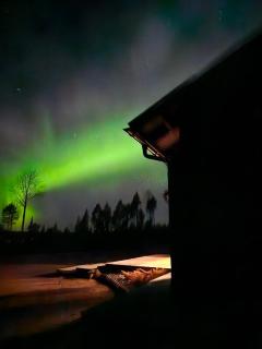 Premium Log Villa - Private forest and great views - 5