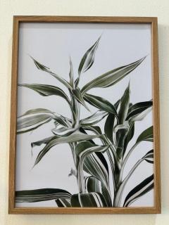 MEETU - GREEN HAVEN Studio N 1Bedroom - 7