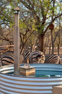 Dung Beetle Bush Villa, Private Kruger Escape, Marloth Park - 0