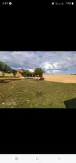 Tricas house - 6