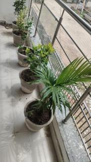 Luxe and Spacious 2BHK Mansarovar Hyatt & Iskcon - 4