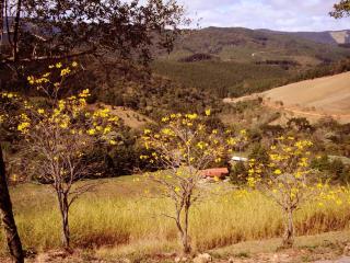 Chales Estrada de Chão - Monte Verde - 8