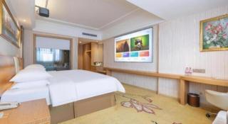 Vienna Hotel Guangzhou Baiyun Airport Huadu Avenue - 3