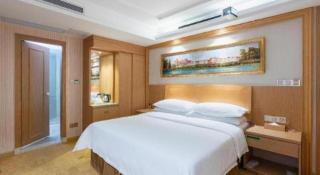 Vienna Hotel Guangzhou Baiyun Airport Huadu Avenue - 2