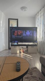 Apartment Huvepharma Arena - 3