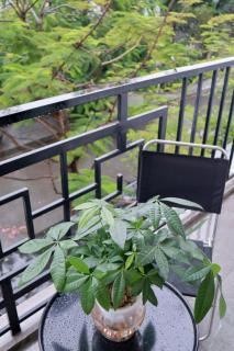 Rock Homestay 202 - 4