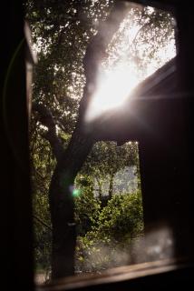 A place in the heart - 9