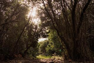 A place in the heart - 8