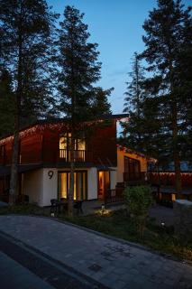 Apartel Skhidnytsya - 1