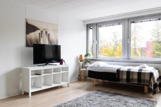 Spacious and cozy 2-room apartment for 4 in Kaivoksela, Vantaa - 4