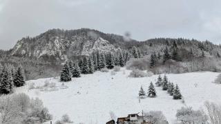 Cabana de la rau Satic - 7