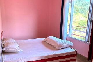 Mahi Homestay and Cafe - 1