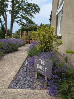 The Manse featuring the Daisy Camrose - 5