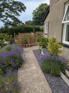 The Manse featuring the Daisy Camrose - 4