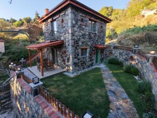 Authentic Historic Stone Building in Sarpıncık - 9