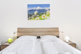 Apartment Bistra Kranjska Gora - 6