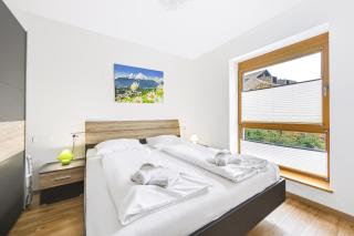 Apartment Bistra Kranjska Gora - 4