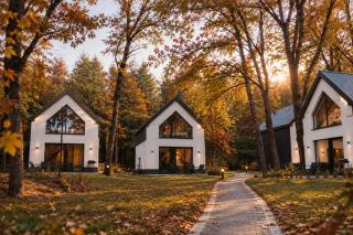 Treehouses - 9