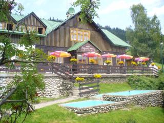 pension Krausovy Boudy - 7