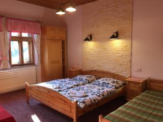 pension Krausovy Boudy - 3