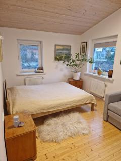Cozy 1-bed flat in Kleboniškis Forest - 6