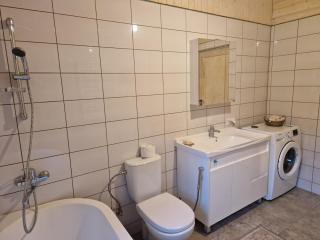 Cozy 1-bed flat in Kleboniškis Forest - 4