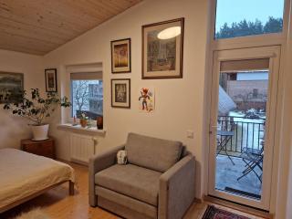 Cozy 1-bed flat in Kleboniškis Forest - 3