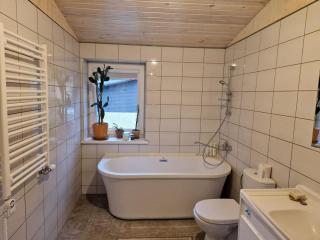 Cozy 1-bed flat in Kleboniškis Forest - 2