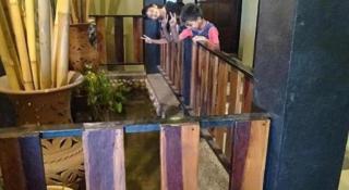 Bull & Bear Airport Hotel Langkawi - 6