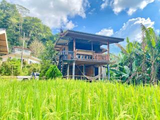 pedo Homestay2 -  - 7