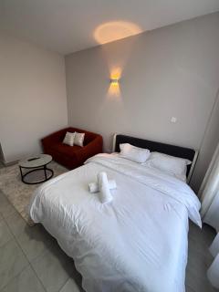 Nest studio at the Aviv Kitisuru near Westlands and KSG - 0