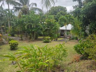 Les bungalows de la caroline - 9