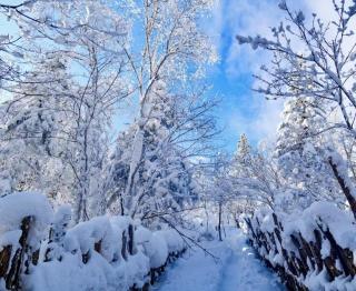 Yabuli Ski Resort & Beiguo Spring Hot Spring Resort - 8