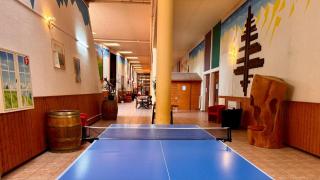 Torgon Grand studio Confortable - 1