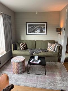 Ski lodge Åre by - 9