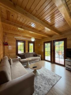 Villa GOLAJ - Boge - 9