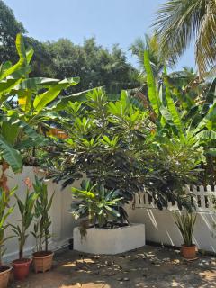 Vinssons Boutique Homestay - 7