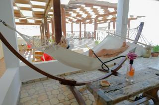 Pension la Daurade - 7