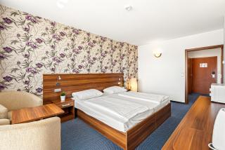 Frymburk- Wellness apartmány - 7