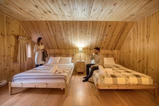 Chalet Saumon for 16 Guests , Parc appalaches - 9