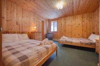 Chalet Saumon for 16 Guests , Parc appalaches - 4