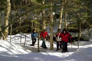 Chalet Aigle Ski in-out Appalaches Park 16 Guests - 5