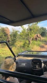 Hwange Mobile Safari- Little Roz Tours - 0
