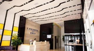 Lavande Hotel Leshan High-Speed Rail Station Wanda Plaza Branch - 3