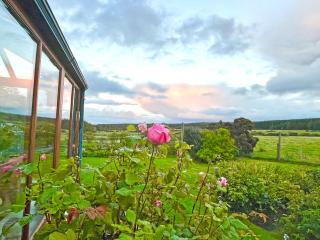 Juniper Cottage - 6