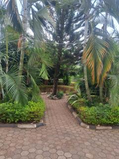 Laurazvillahomestay - 3